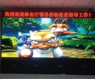 浙江紹興某政府機(jī)關(guān)液晶拼接屏